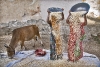 Chaff and Rice  Germany.jpg